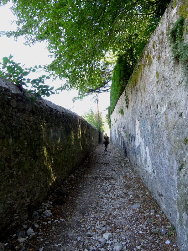 Giro del Monteghello -  sentiero F1 (Rovereto)